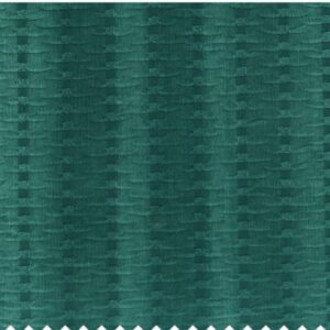 Paroma Coordinate Pichola Fabric