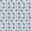 Paroma Pondicherry Trail Fabric