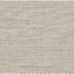 Paroma Raga Fabric