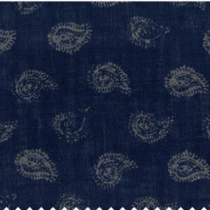 Paroma sheer Amra Paisley Fabric