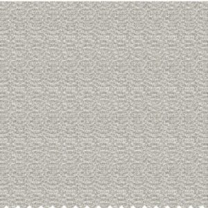 Paroma sheer Kora Fabric