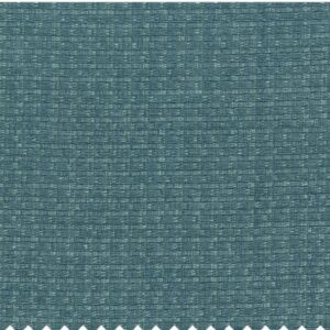 Paroma sheer Kora Fabric