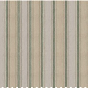 Paroma Upholstery Dhari Fabric