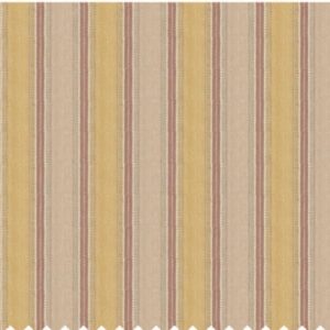 Paroma Upholstery Dhari Fabric
