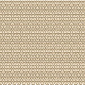 Paroma Upholstery Jali Fabric