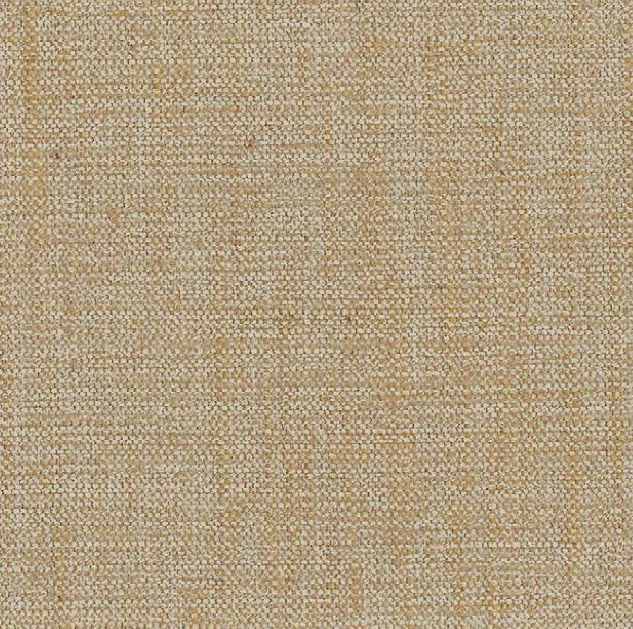 Regina REGALE Fabric