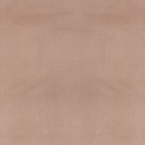 Sanganer BAKSHI Fabric