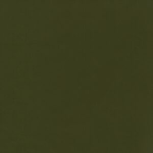 Sanganer BAKSHI Fabric