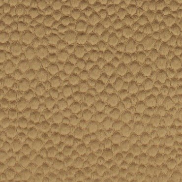 SPECK | AMBER | RR-1018