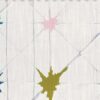 Trail Blazers SPLAT Fabric