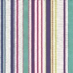 Trail Blazers TRAILS Fabric