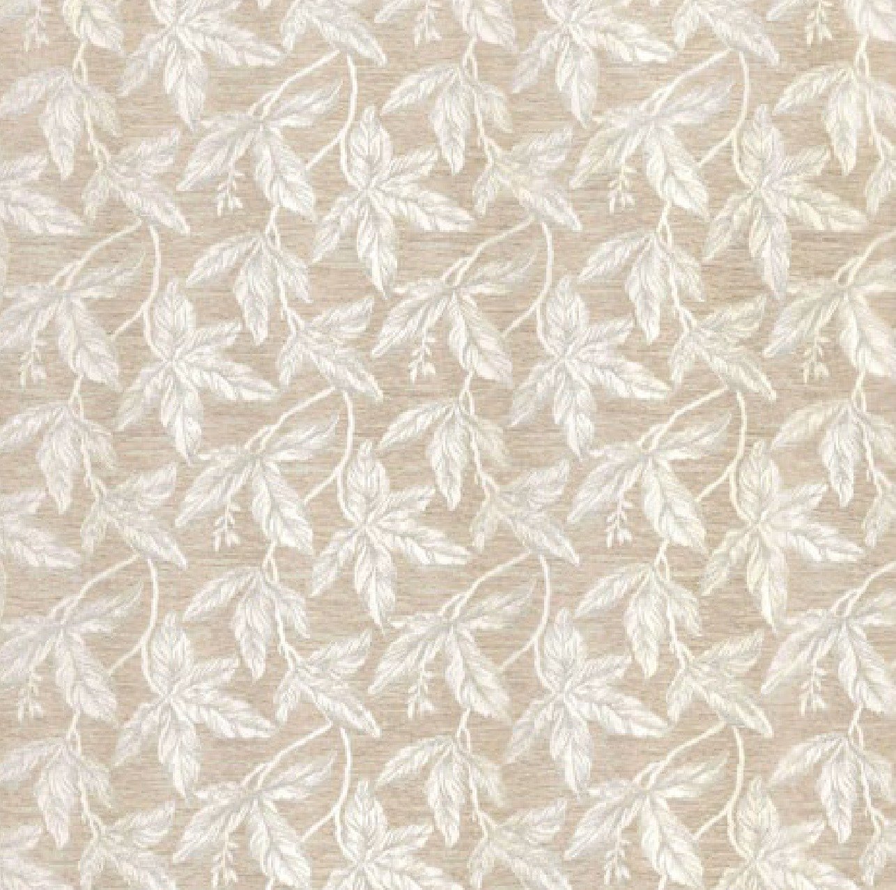 SHAJARA | LATTE | 101919