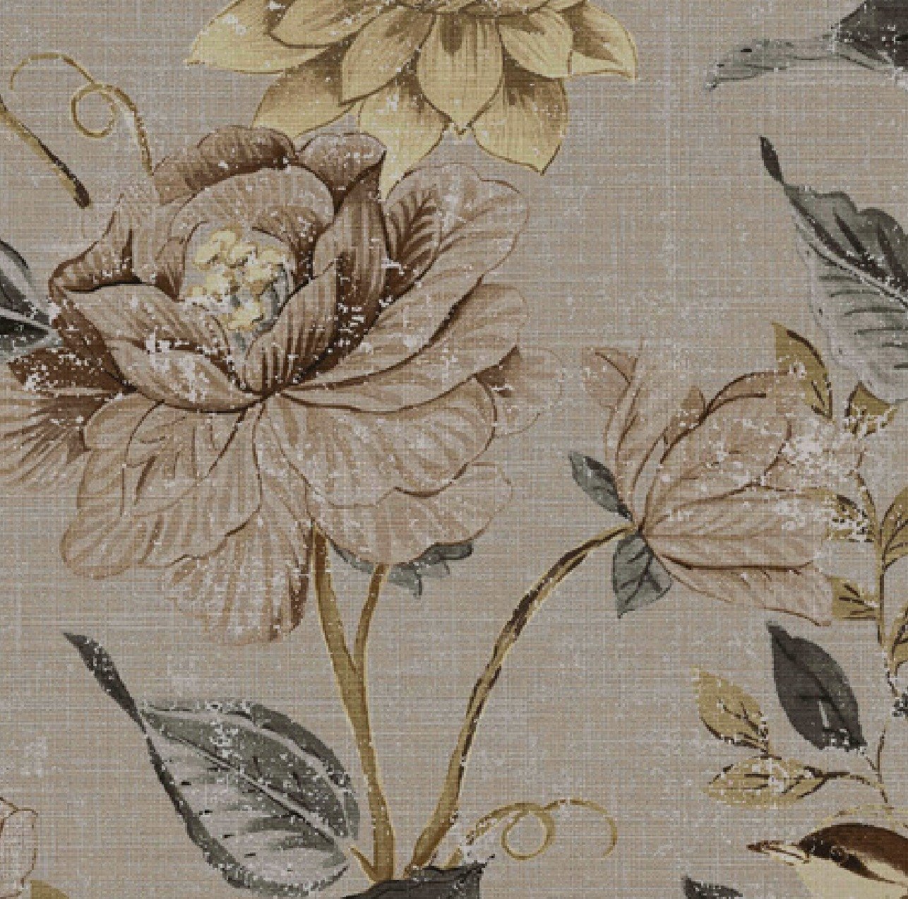 CAMELIA | CUMIN | 103629