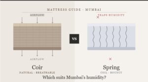 Coir vs Spring Mattress