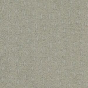 ASUKA ASUKA CHAMPAGNE Upholstery Fabric
