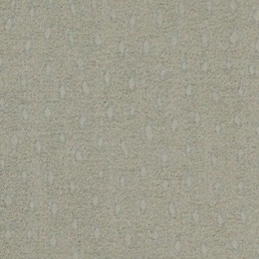 ASUKA ASUKA CHAMPAGNE Upholstery Fabric