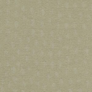 ASUKA ASUKA WHEAT Upholstery Fabric