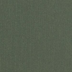 BASAAL CRISTO OLIVE Upholstery Fabric