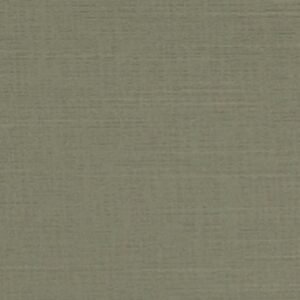 TESO TAWNY Fabric