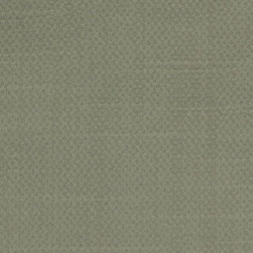 TESO | FERN | RR-1014