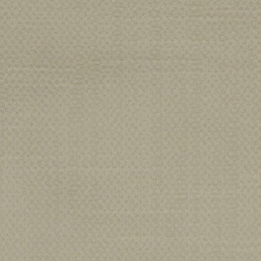 TESO | PARCHMENT | RR-1064