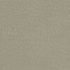 TESO TORO Fabric