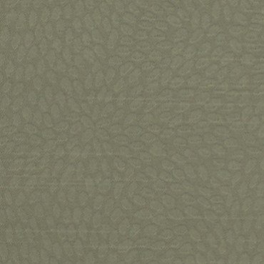 TORO | FERN | RR-1097