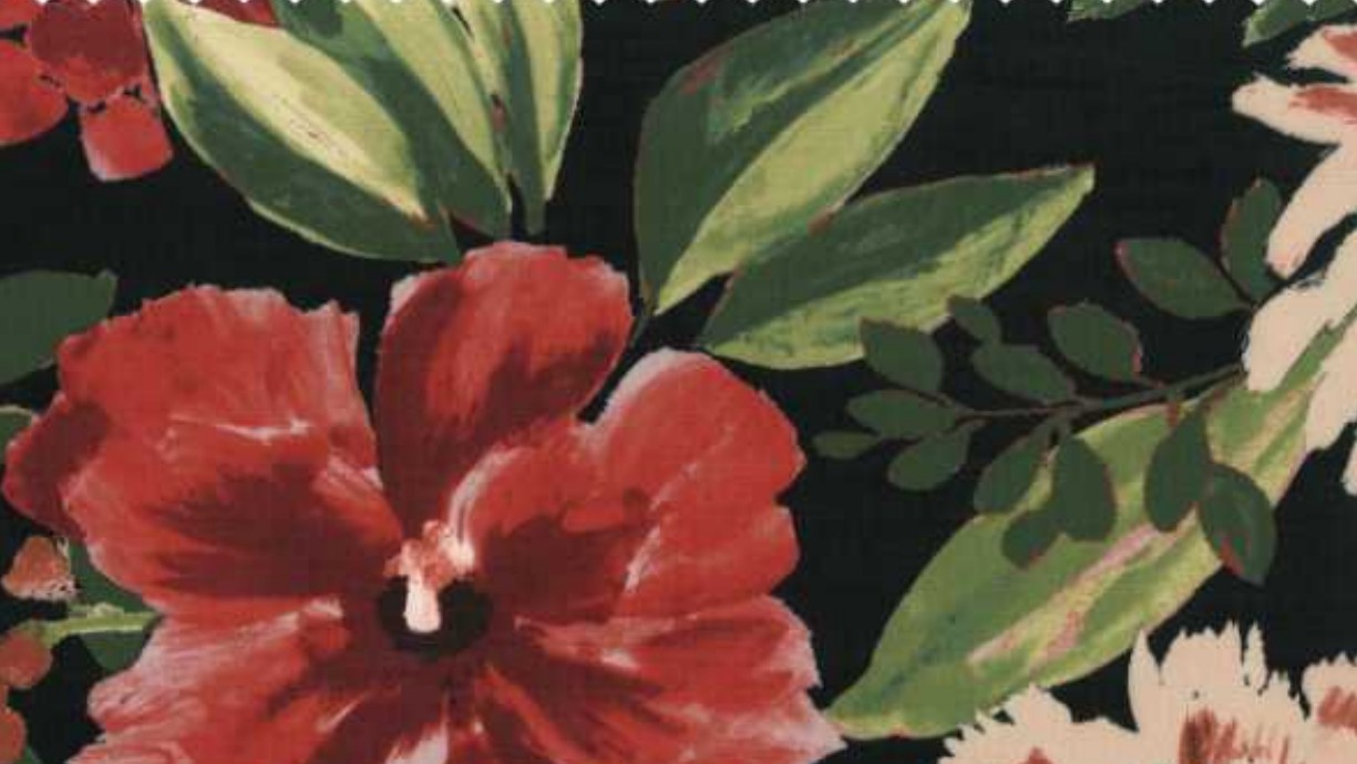 FOLIA | 103220