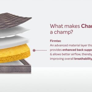SLEEPWELL CHAMP REGULAR MATTRESS