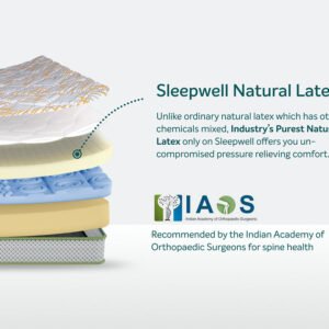SLEEPWELL PRO SPINETECH CLASSIC MATTRESS