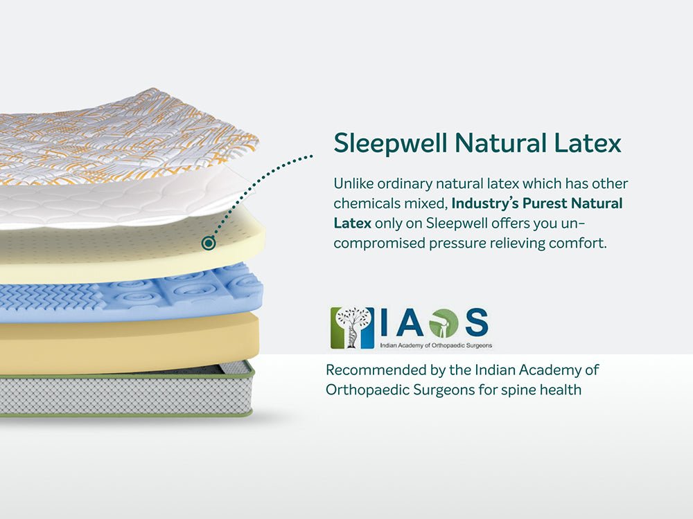 Sleepwell Pro Spinetech Classic Mattress