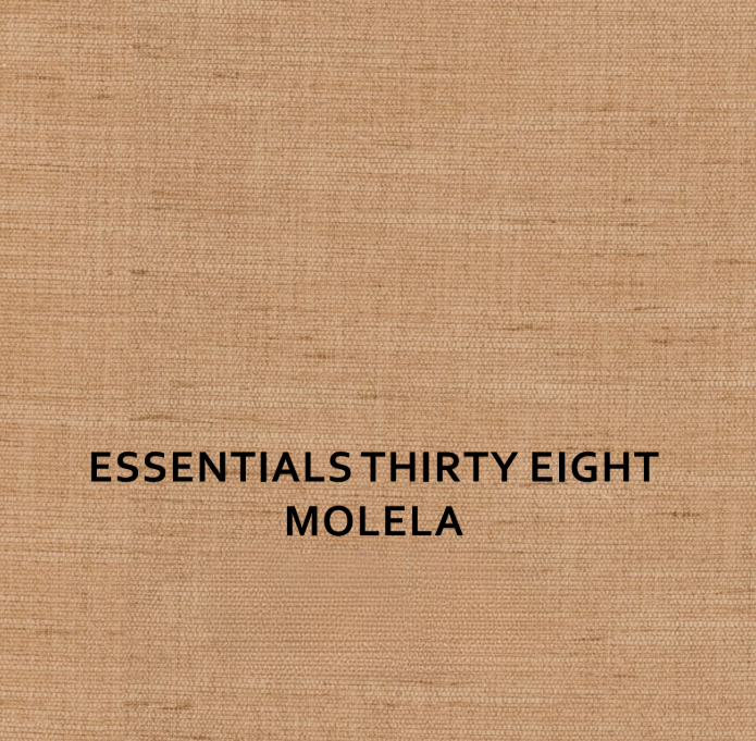 ESSENTIALS 38