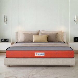 SLEEPWELL DUAL PRO MATTRESS
